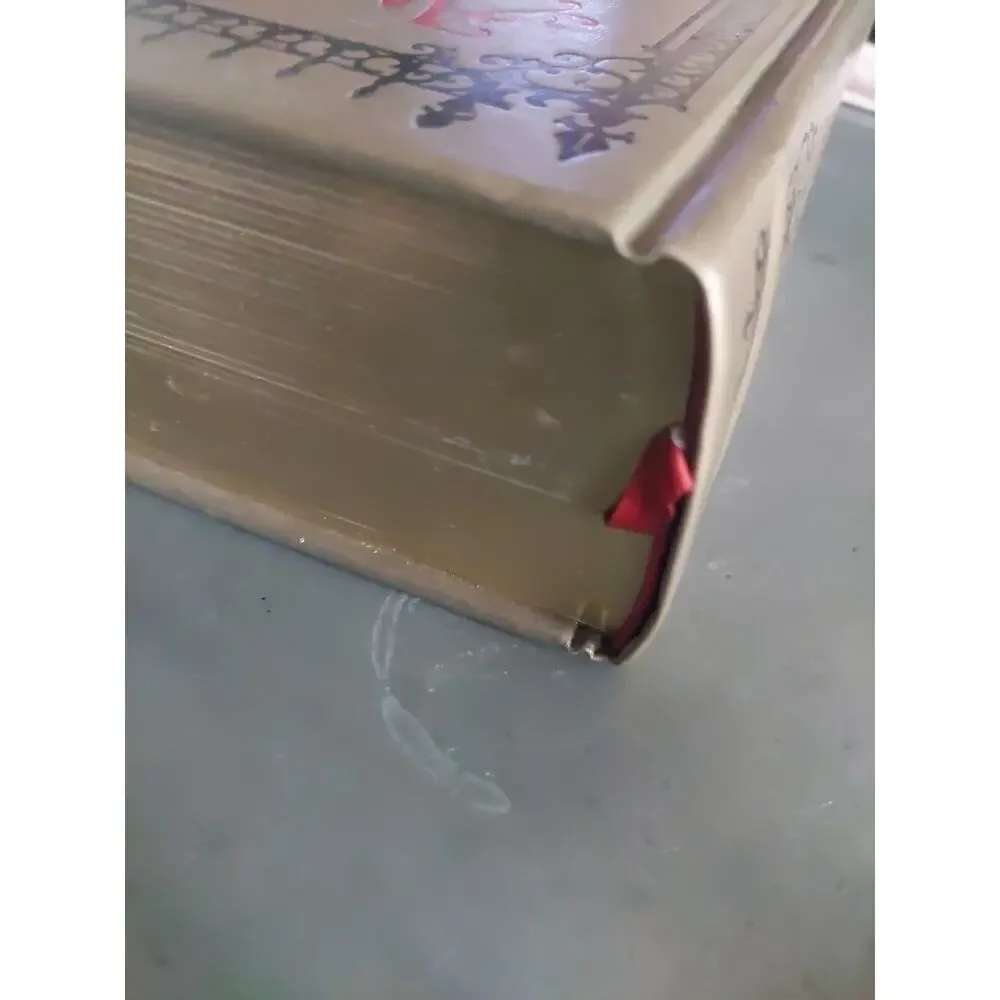 The Vampire Chronicles Anne Rice Hardcover Gold